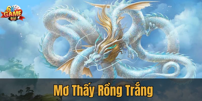 Giấc mơ thấy rồng trắng: Tài phúc và vượng khí trong tầm tay